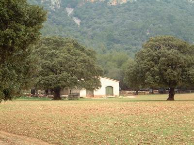DSCF0075.JPG
